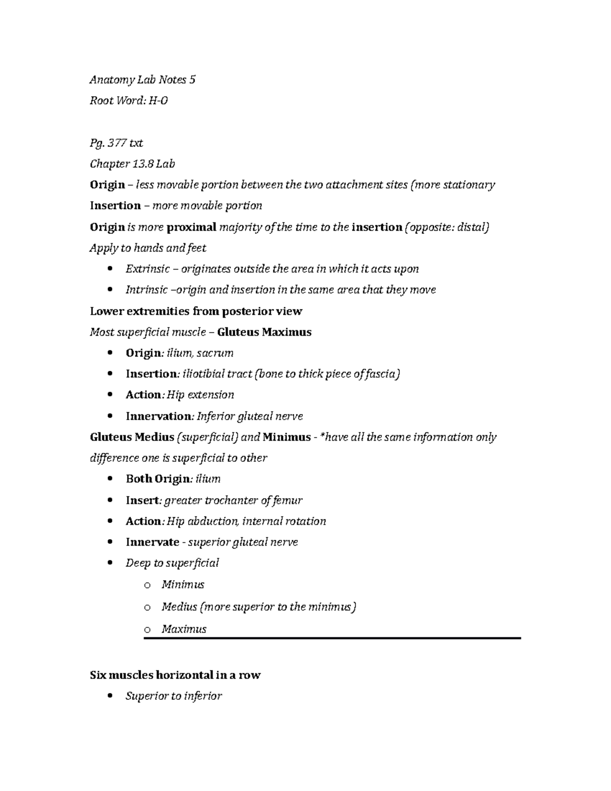 Anatomy Lab Notes 5 377 txt Chapter 13 Lab Origin less movable portion between the two Studocu