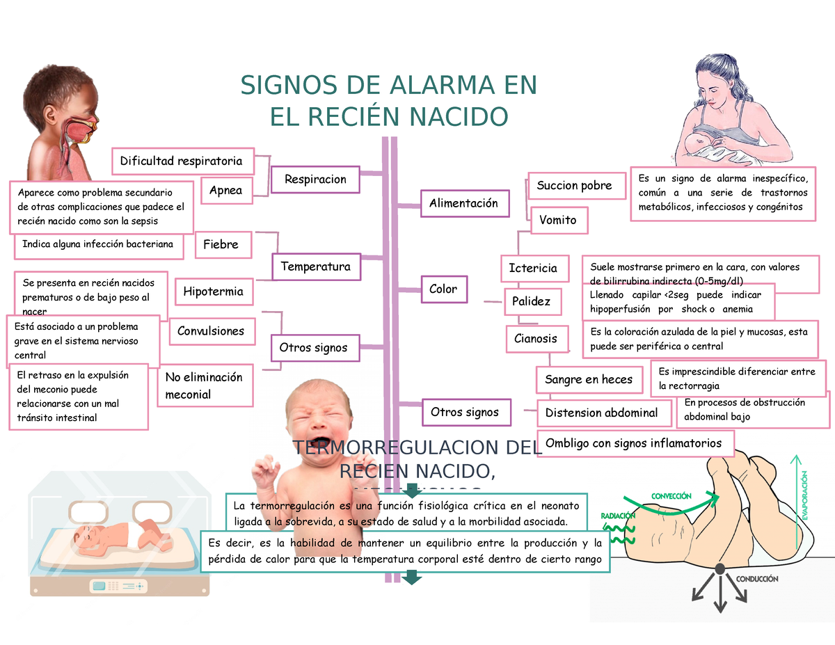 Neonatologia Mapas Conceptuales Signos De Alarma En El ReciÉn Nacido Es Un Signo De 4475