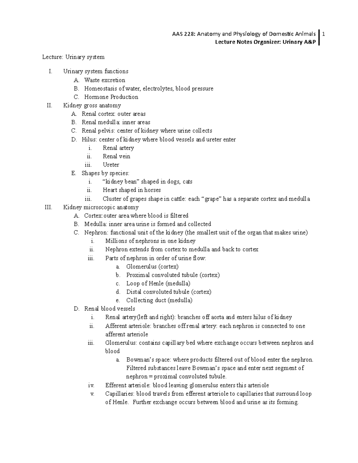 20. Urinary System - Lecture notes 20 - AAS 228: Anatomy and Physiology ...