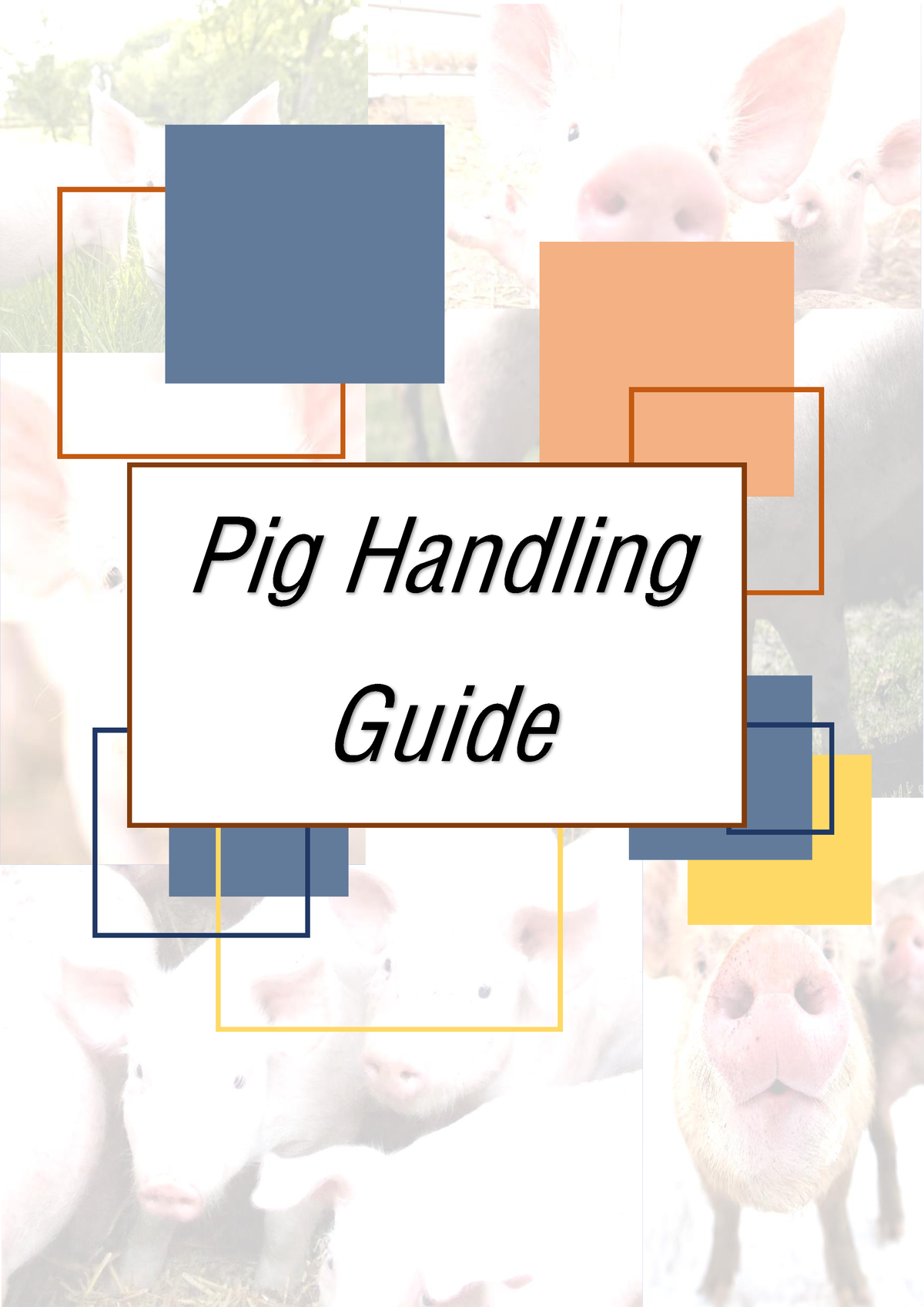 Pig Handling Guide - Pig Handling Guide ` General Features The Domestic ...