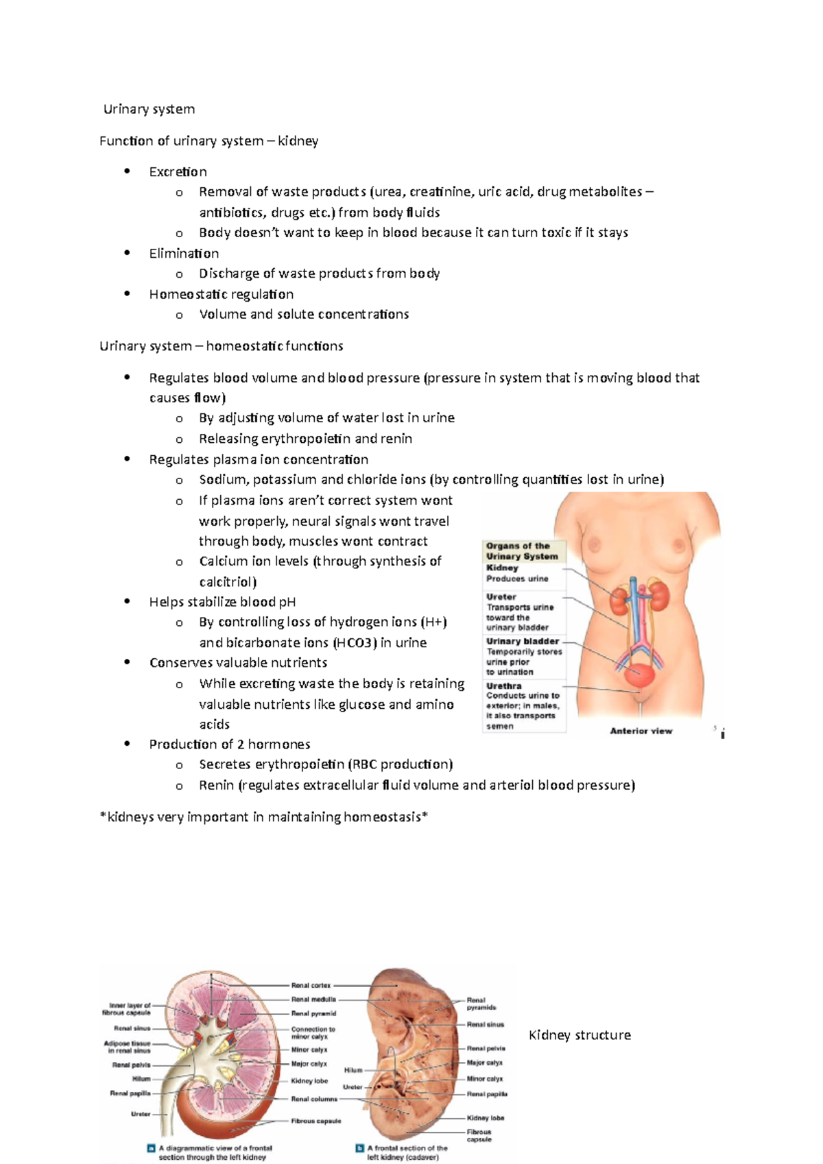 Wk 9 urinary system - Lecture notes week 9 - Urinary system Funcion of ...
