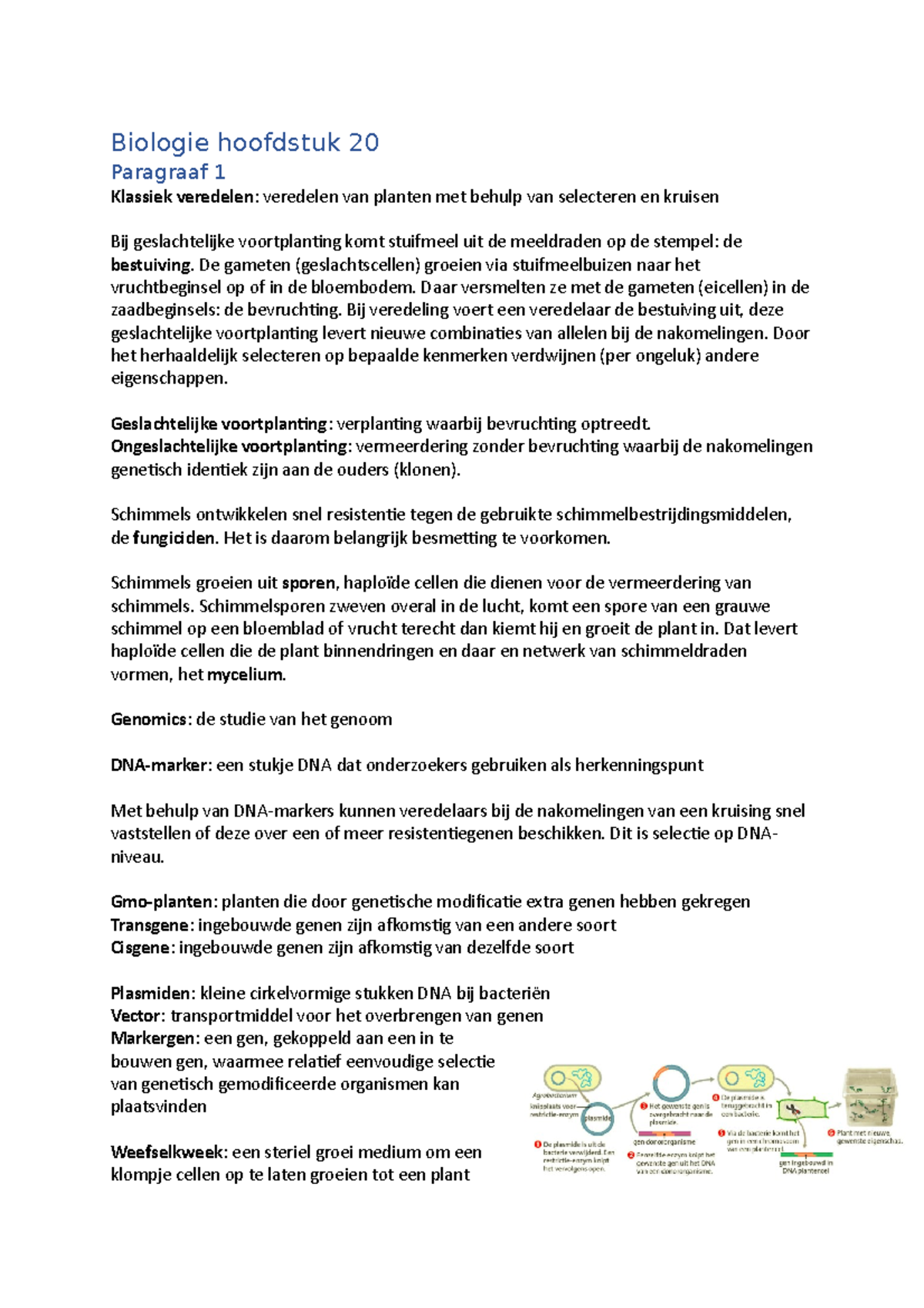 Biologie (Nectar) Hoofdstuk 20 Planten - Biologie Hoofdstuk 20 ...