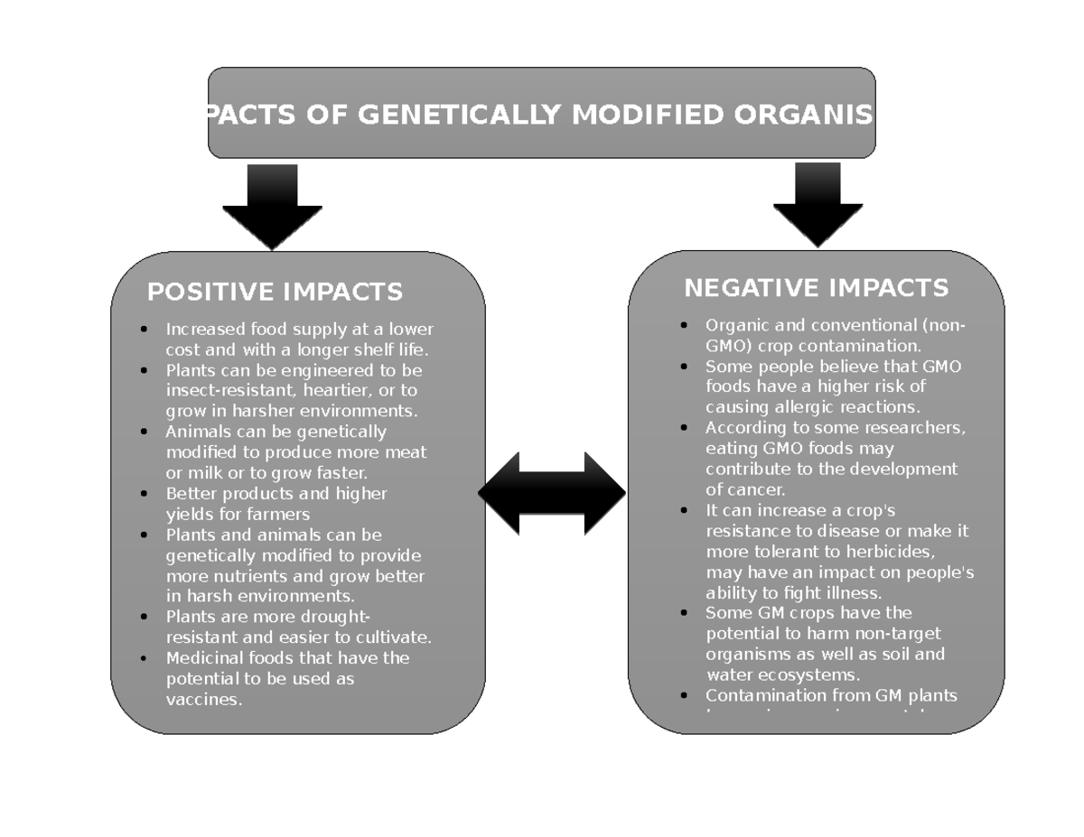 Impacts OF Genetically Modified Organisms - IMPACTS OF GENETICALLY ...