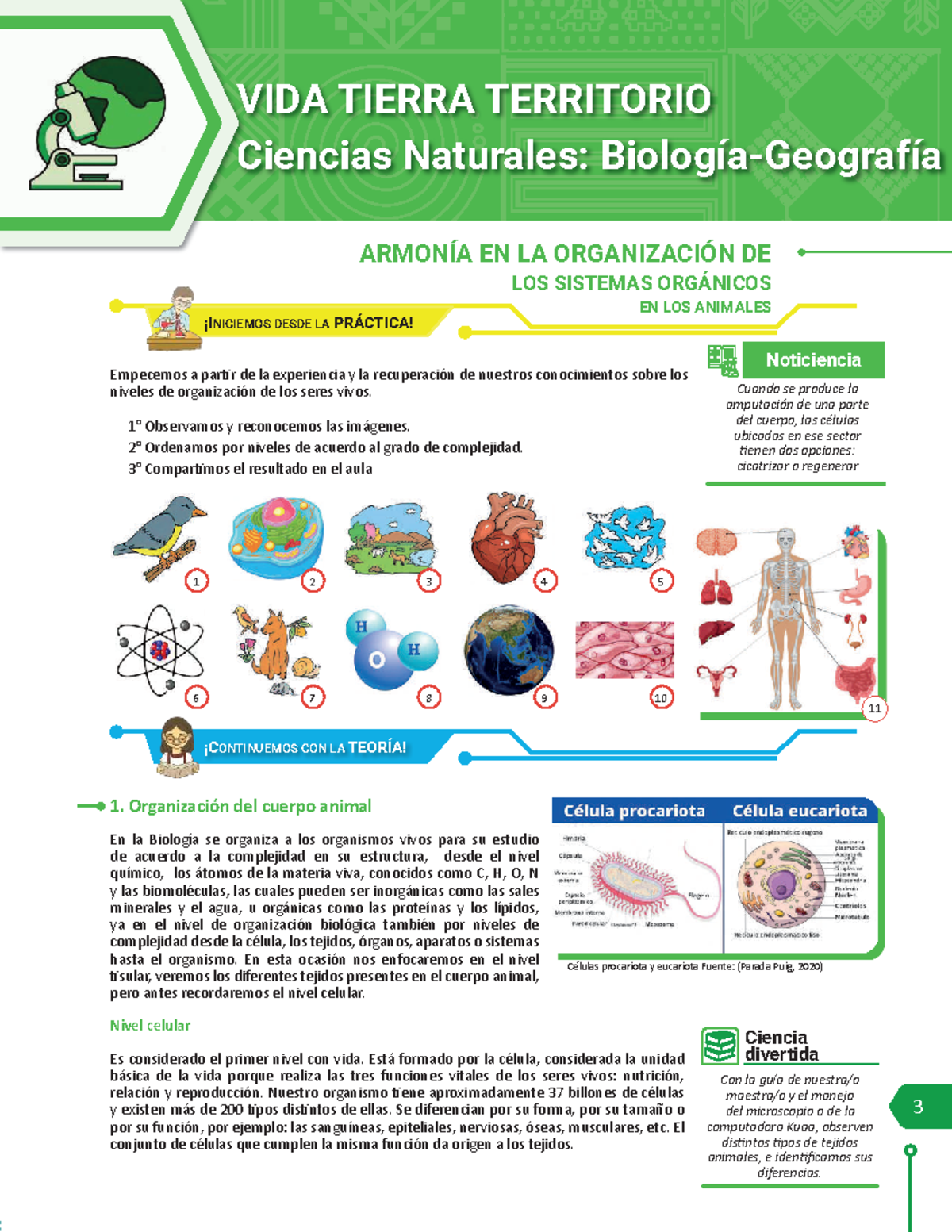 3ro Año primer trimestre cartilla Primer Trimestre Biología