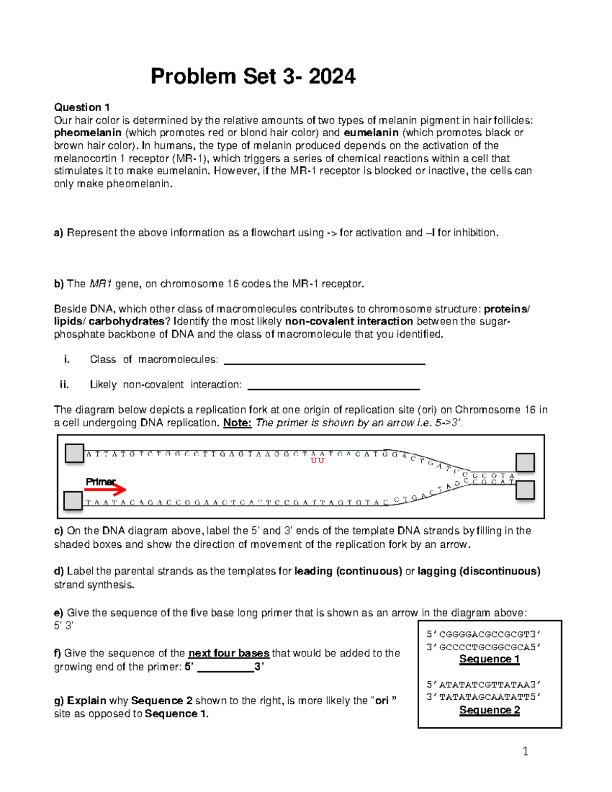 Biology 3 - Problem Set 3 - 2024 Question 1 Our hair color is ...