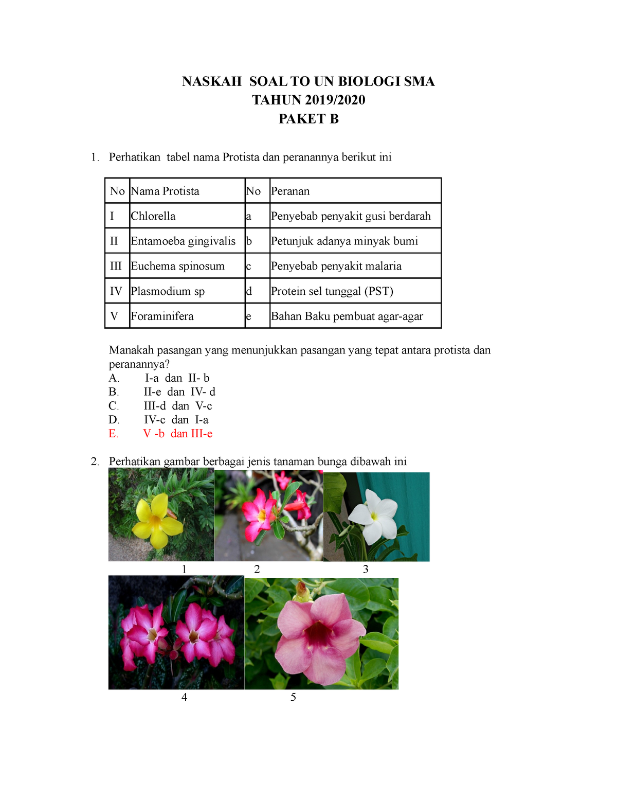 SOAL TO Biologi DKI Paket B 2020 Rev - NASKAH SOAL TO UN BIOLOGI SMA ...