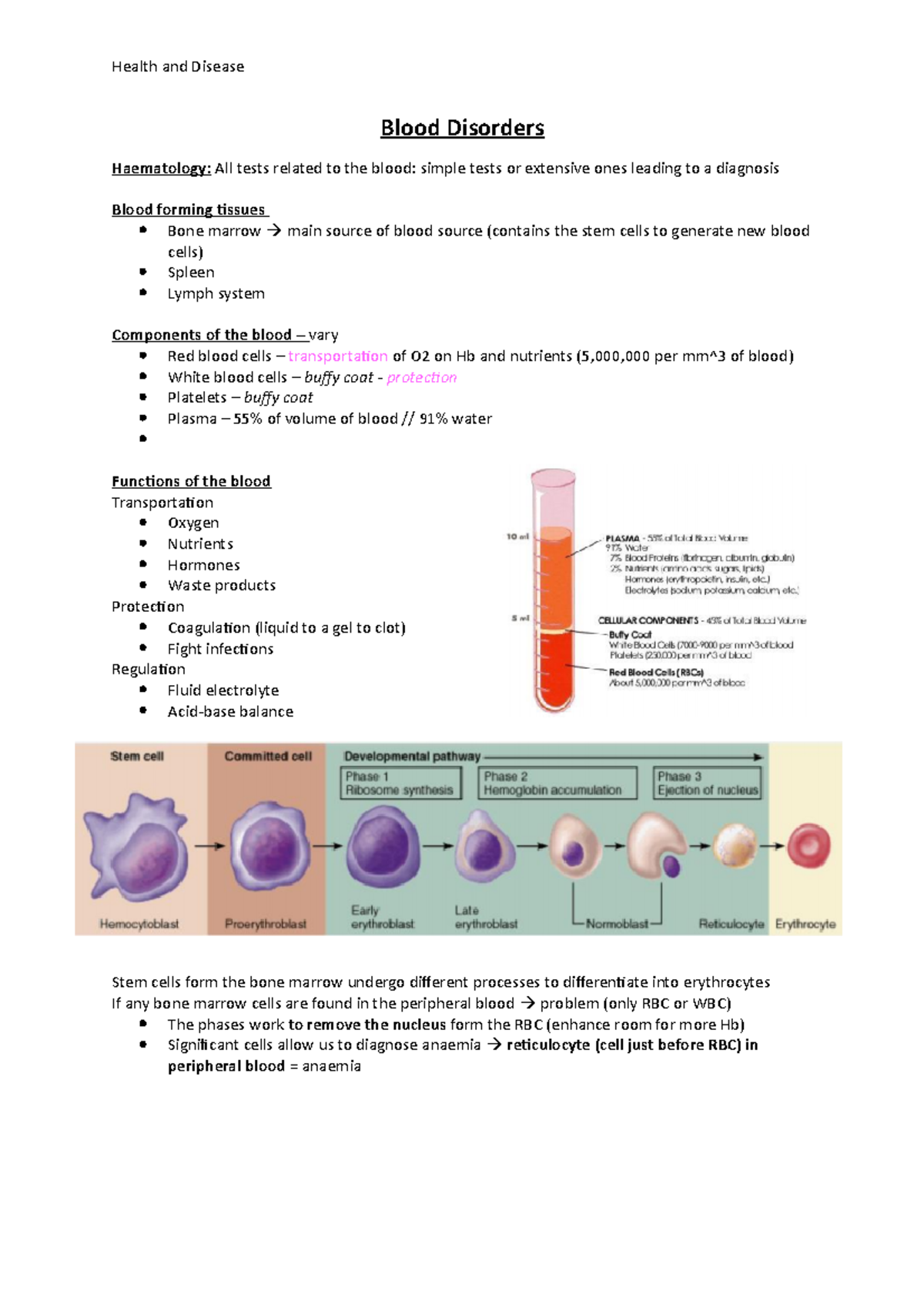 Blood Disorder - Notes - Blood Disorders Haematology: All Tests Related ...