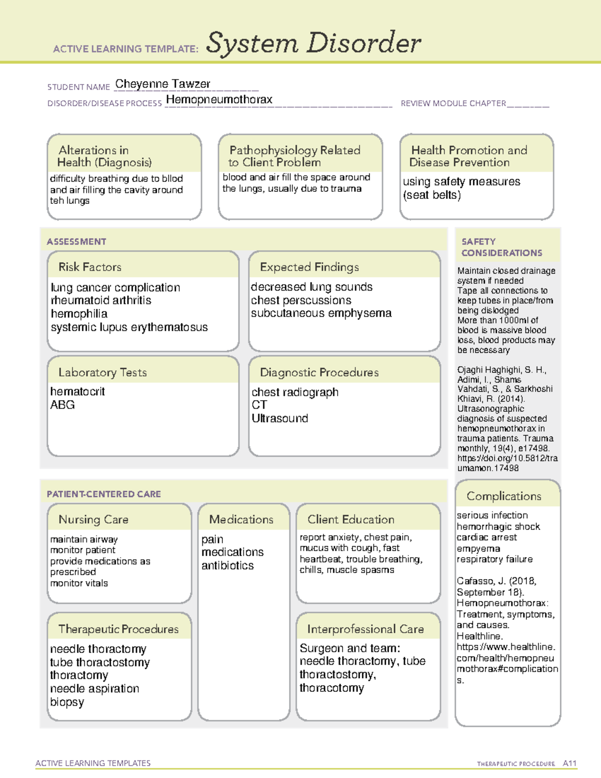 Ctawzer Hemopneumothorax 09042021 - Active Learning Templates 