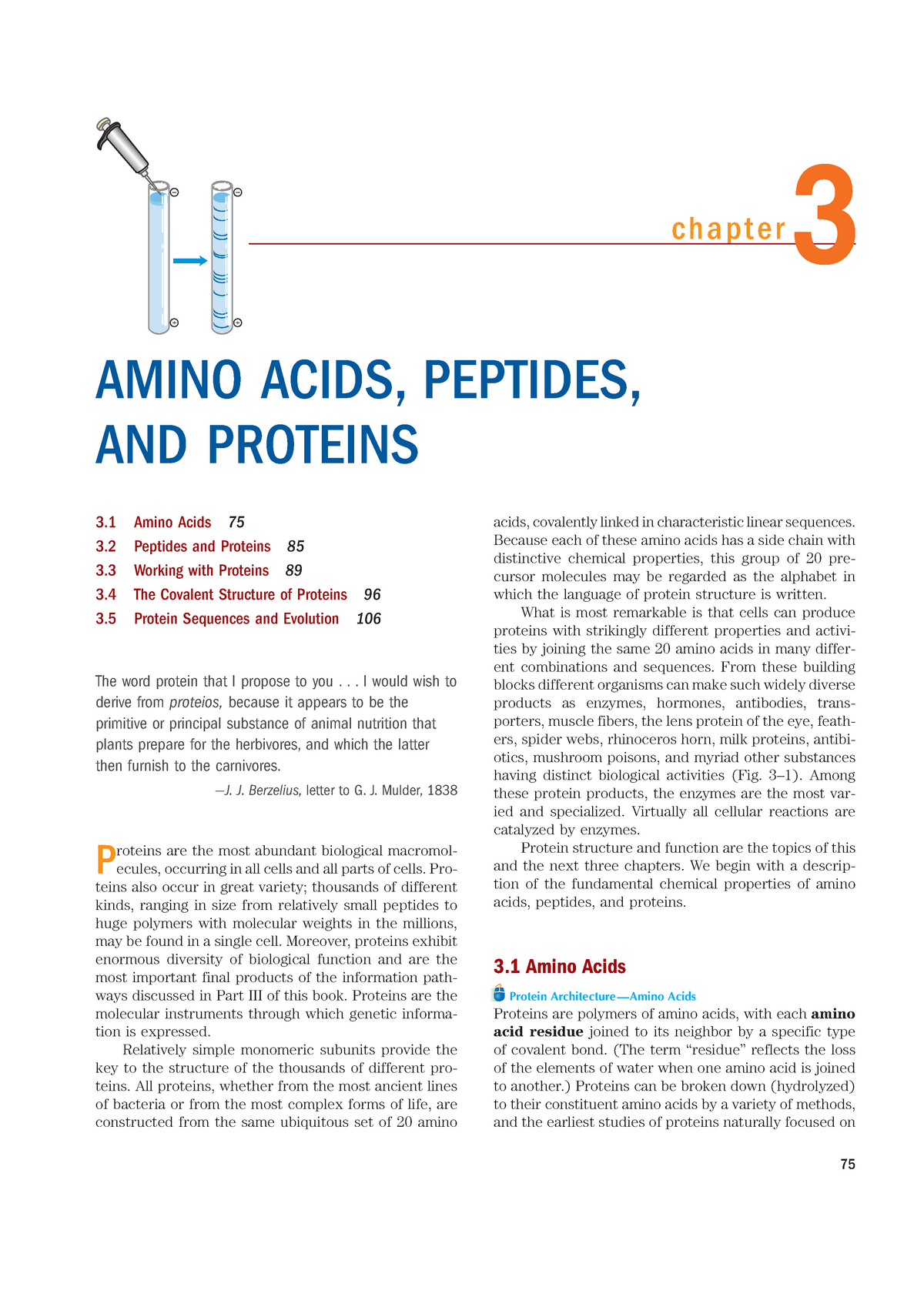 Amino Acid Peptides And Proteins - – – Chapter + 3 + AMINO ACIDS ...