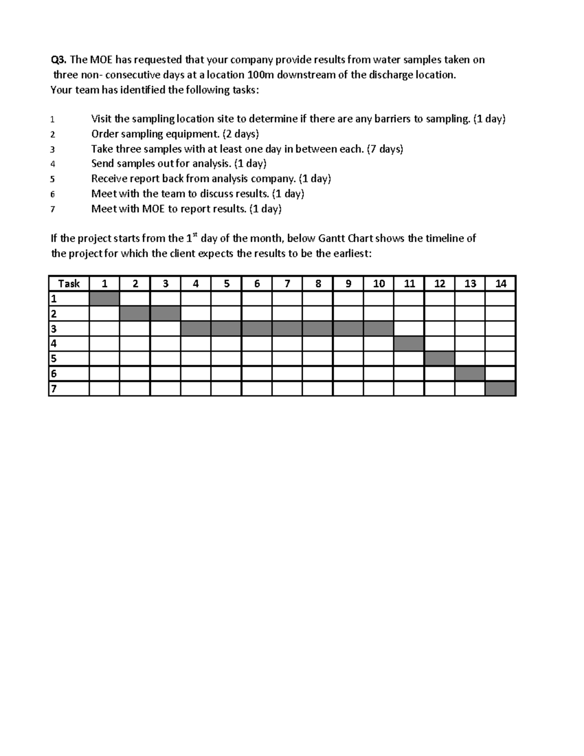 managing a professional engineering project assignment example