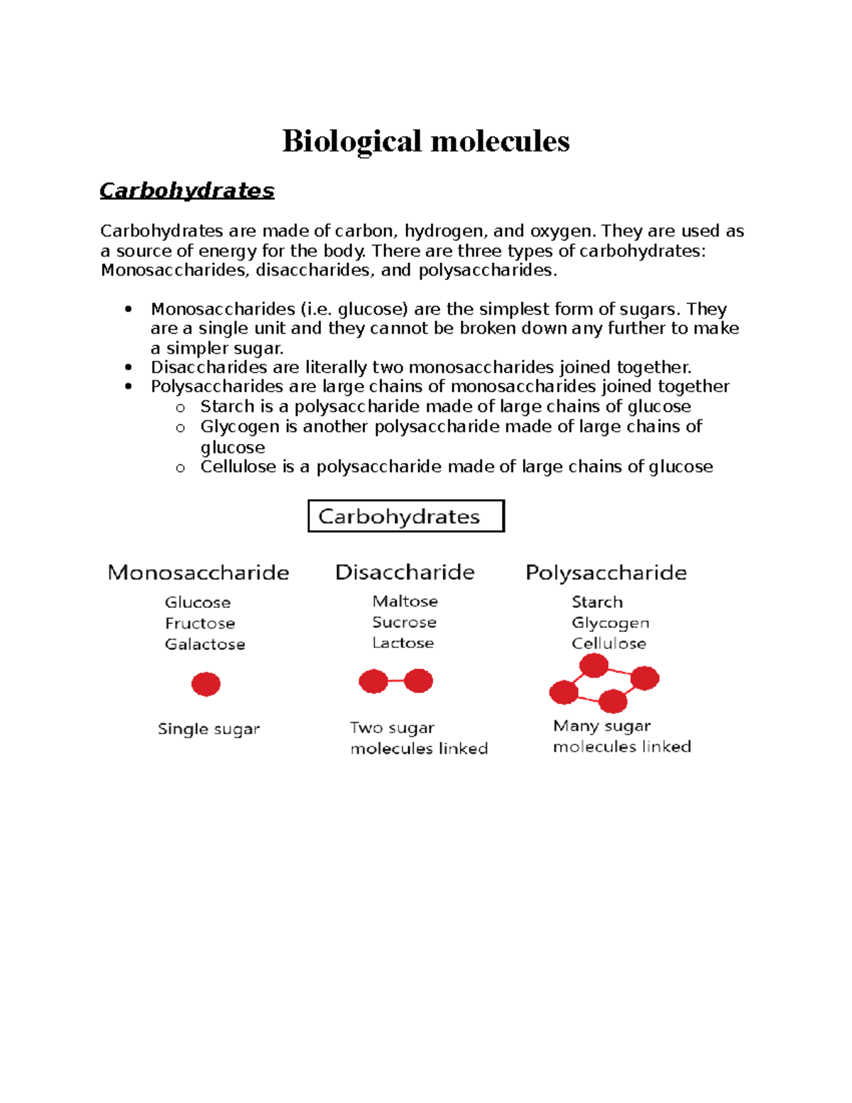 biological-molecules-biological-molecules-carbohydrates-carbohydrates