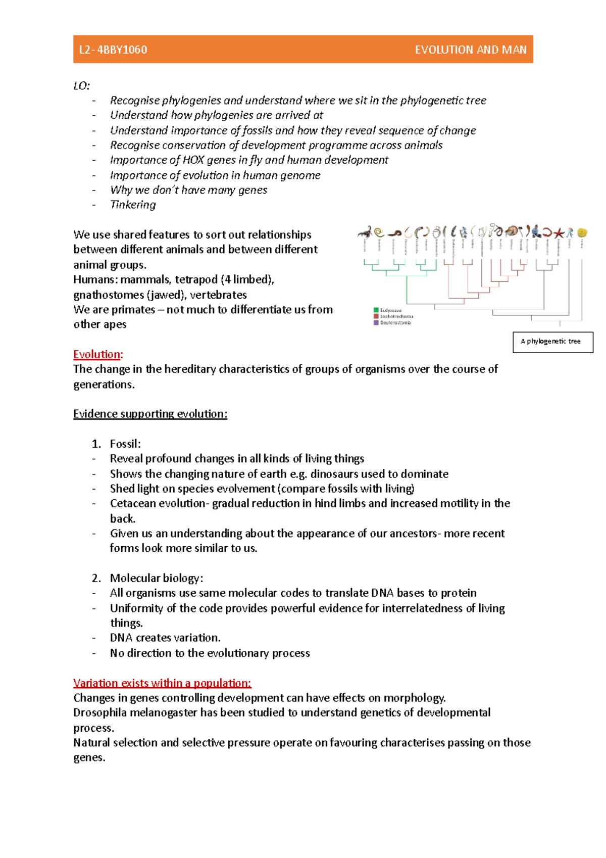 L2. Evolution and Man - Lecture notes 2 - L2- 4BBY1060 EVOLUTION AND ...