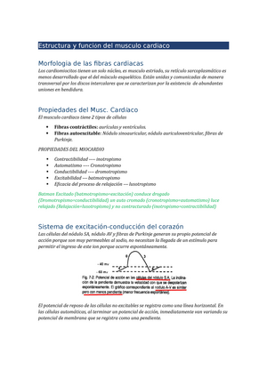 Resumen Biofisica - Estructura y función del musculo cardiaco Morfologia de  las fibras cardiacas Los - Studocu