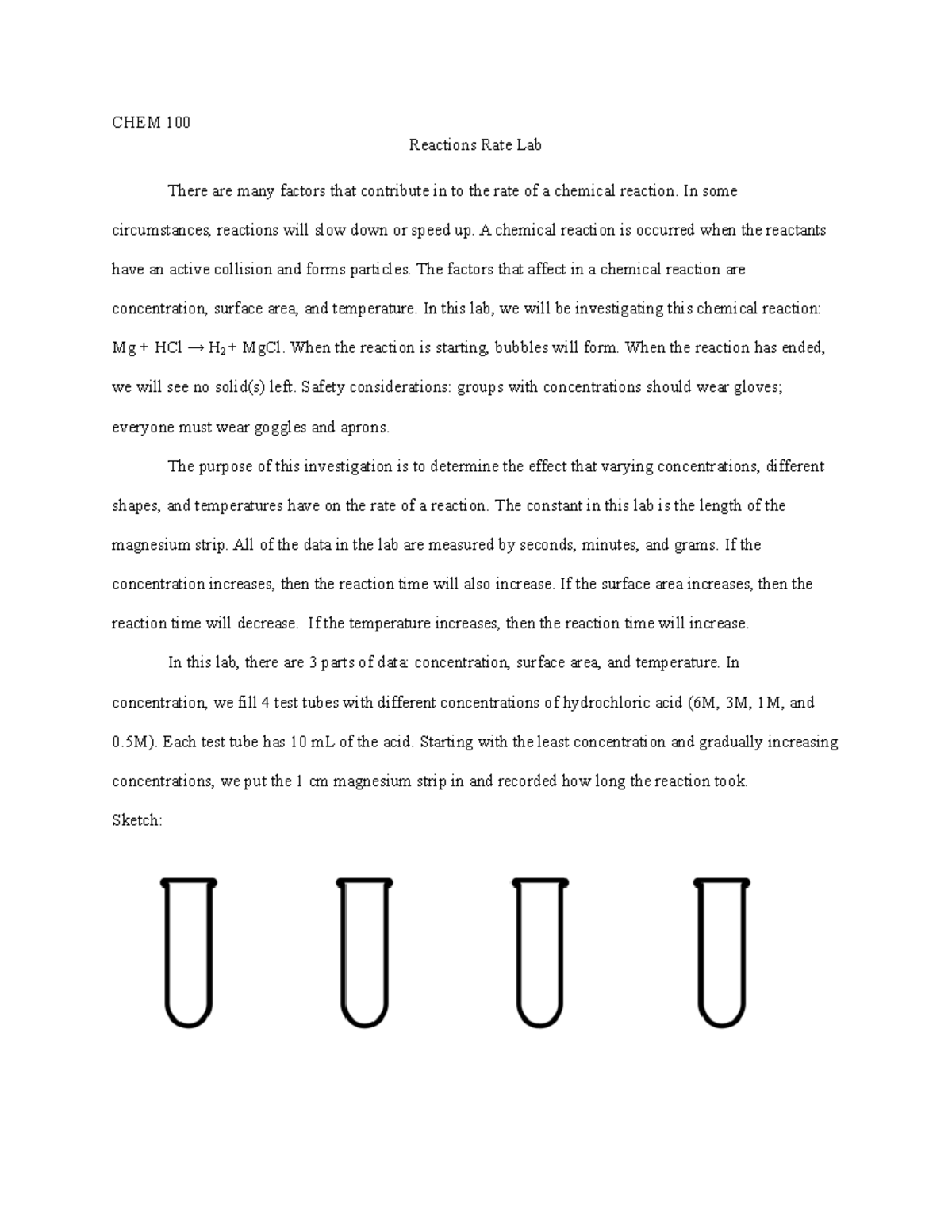 Reaction Rates LAB Burning food formal essay written lab for