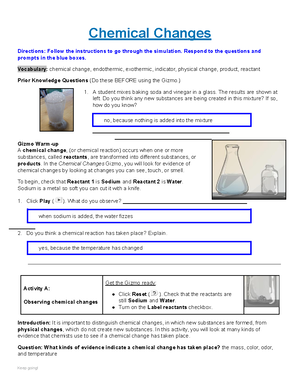 7.05 equilibrium lab - Equilibrium Lab Instructions: Complete all ...