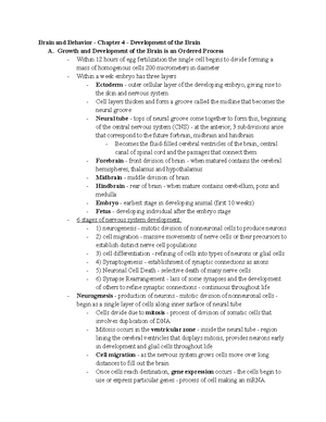 Structure And Function Psychology 378 Brain And Behavior Behavioral Structure And Function Psychology 378 Brain And Behavior Behavioral