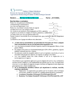 Preguntero Primer Parcial D Pco Clau 12-08 - PRIMER PARCIAL INST ...