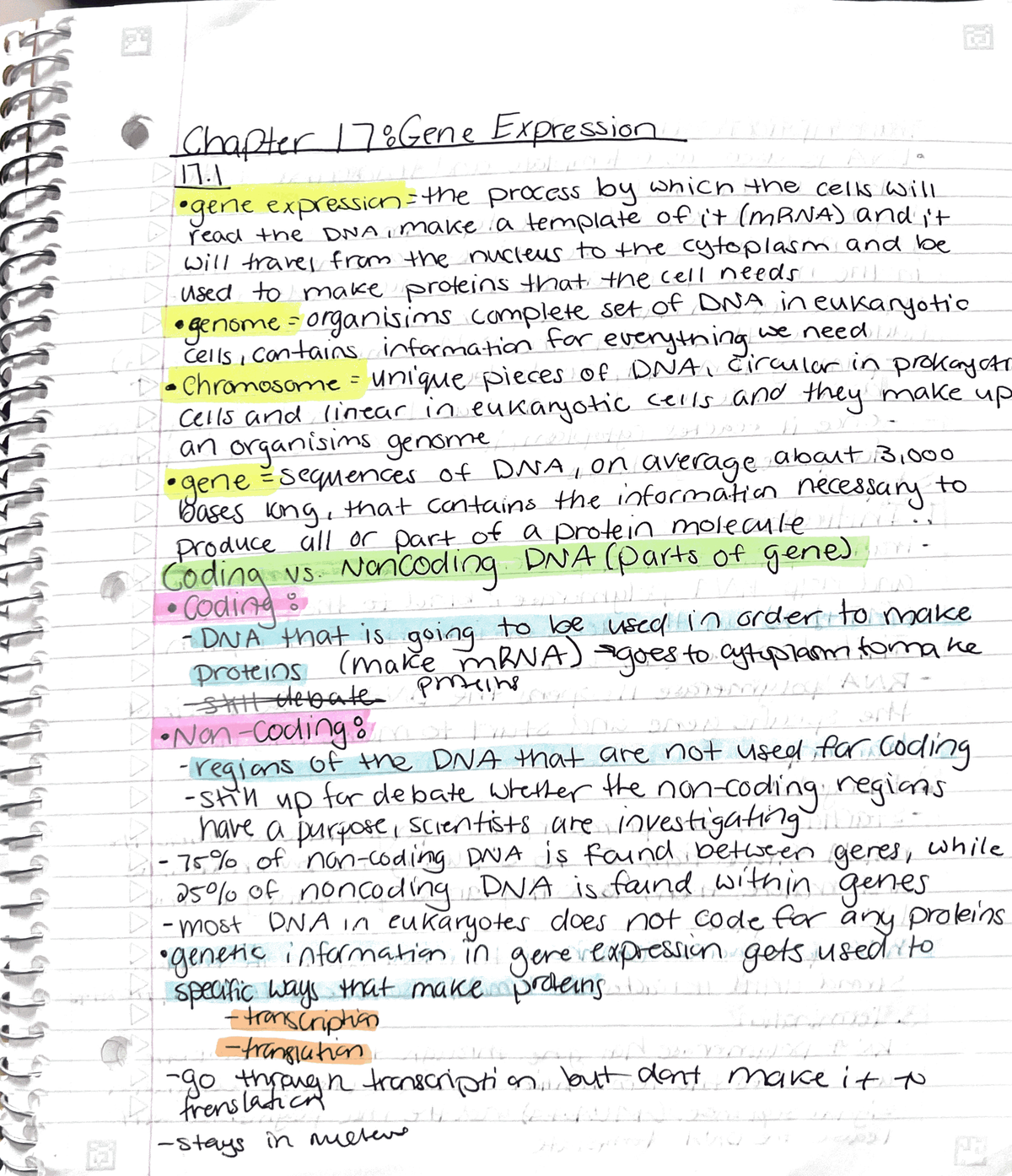 Biology Notes Chapter 17 - BIO 151 - Studocu