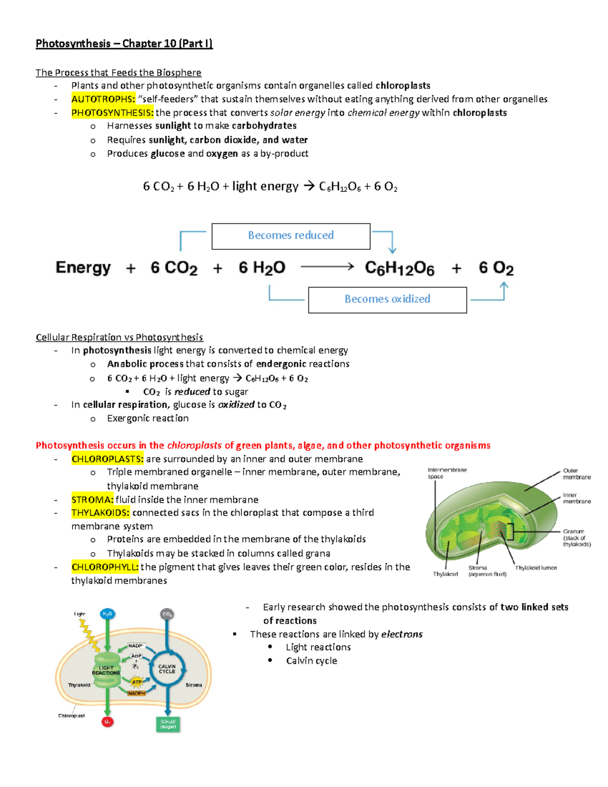 Photosynthesis - Part 1 - Photosynthesis – Chapter 10 (Part I) The ...