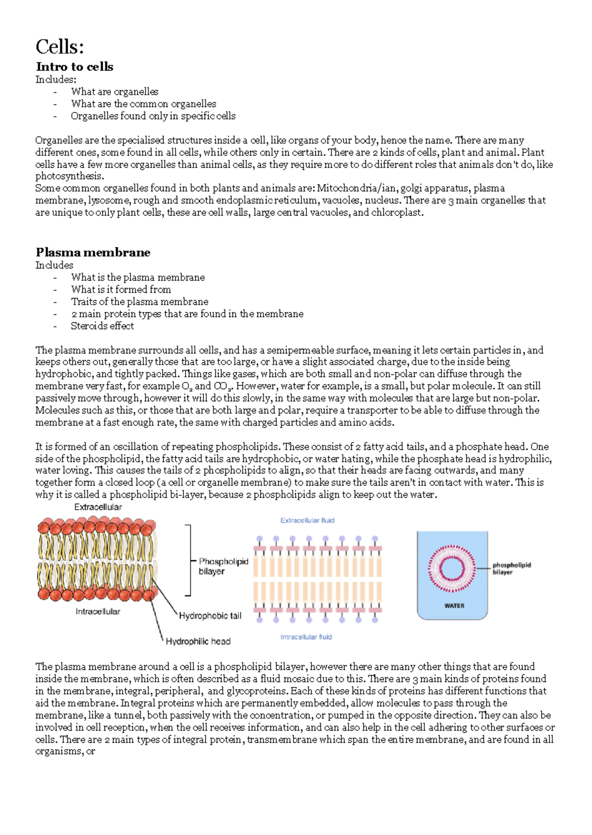 Level 2 NCEA cells external notes (AS91156) - Cells: Intro to cells ...