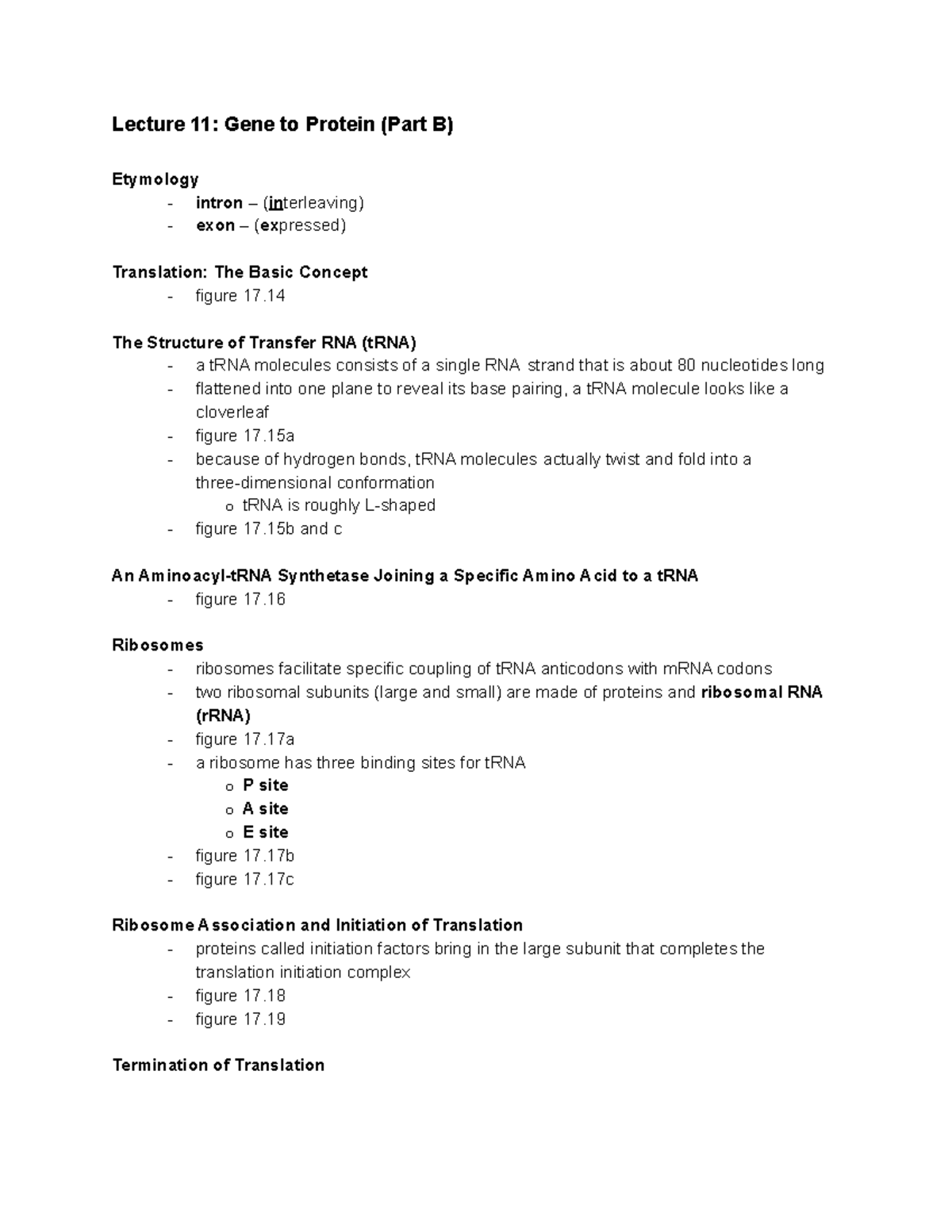 Biology 152 lecture 11 notes - Lecture 11: Gene to Protein (Part B ...