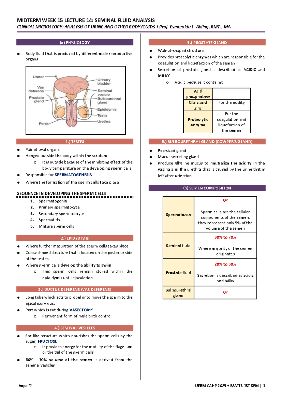 AUBF WEEK 15 Lecture 14 Seminal Fluid Analysis - CLINICAL MICROSCOPY ...