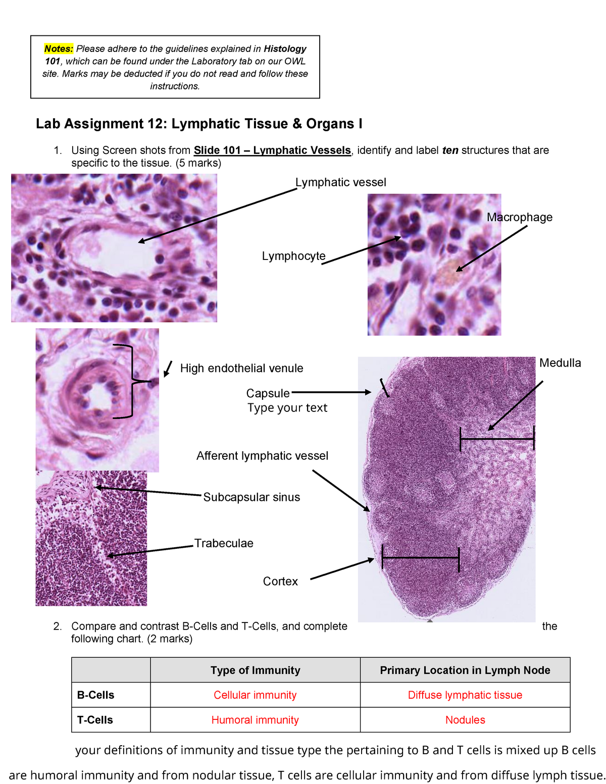 histology lab assignment