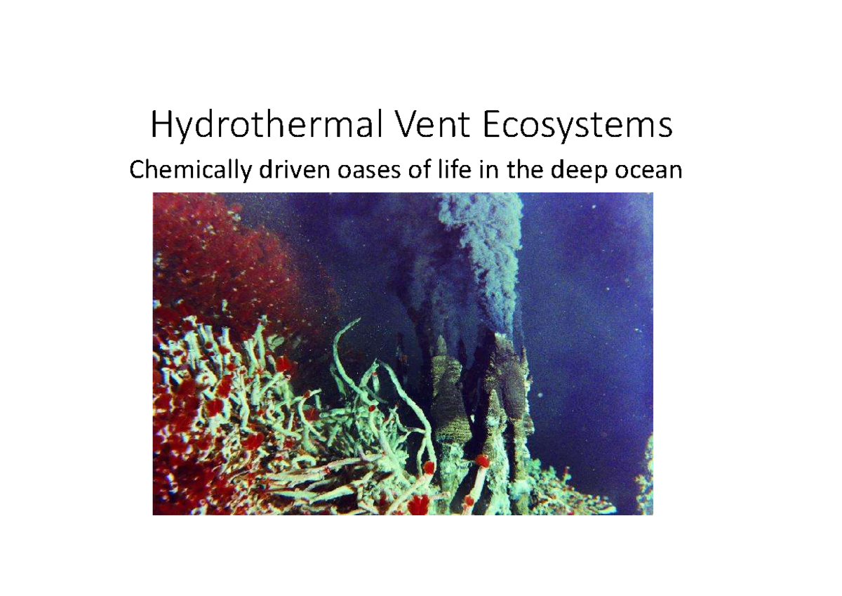 Hydrothermal Vents Lecture - Hydrothermal Vent Ecosystems Chemically ...