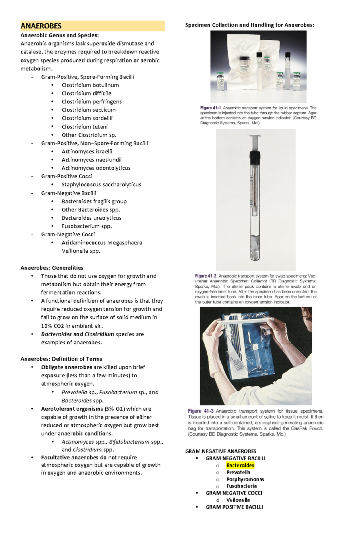 Micro Bio 3rd LE notes no Acid fast mycobacteria - ANAEROBES Anaerobic ...