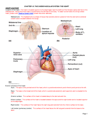 Respiratory gas transport - How O2 and CO2 are transported in the ...