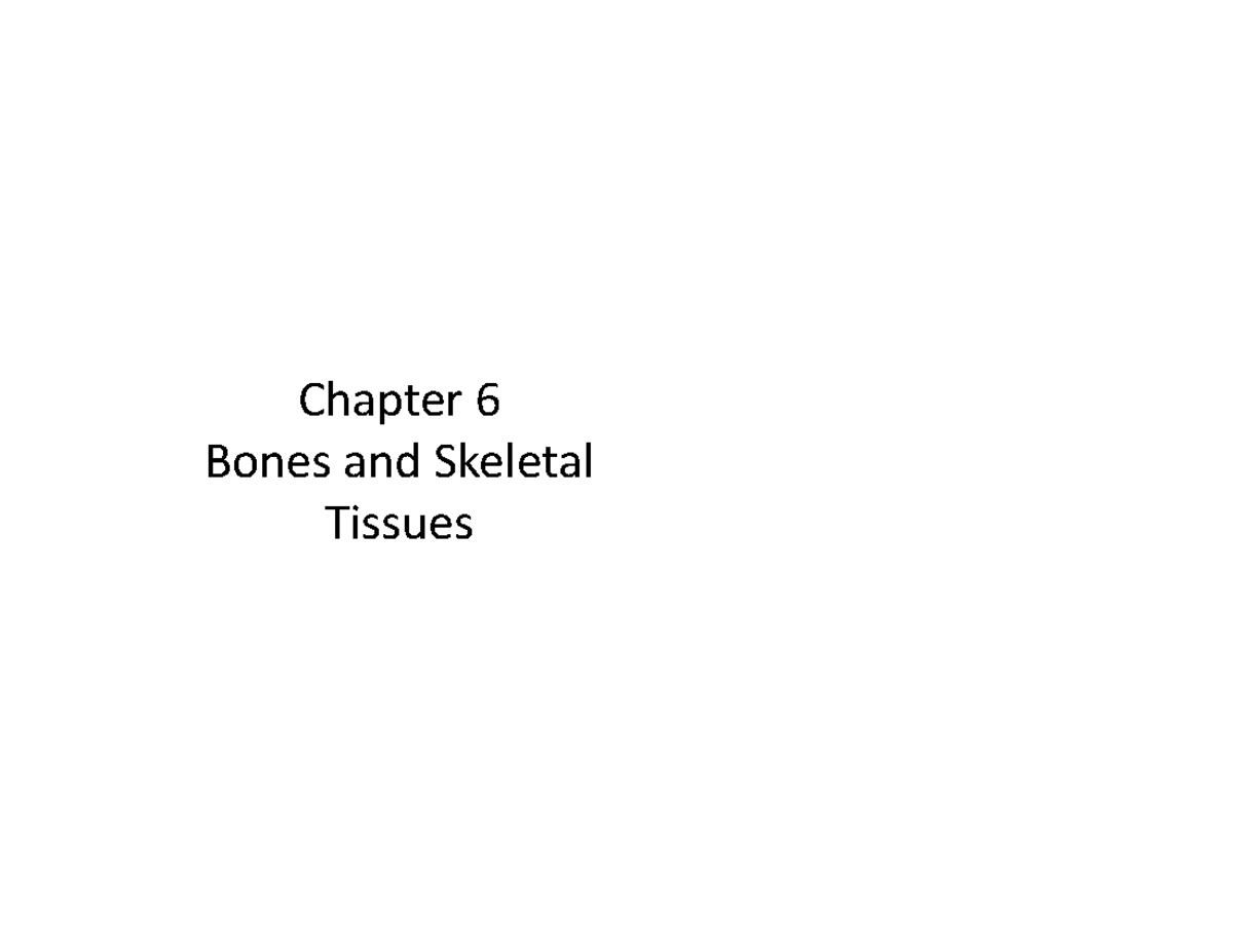 Ch6-Skeletal- Revised - Chapter Bones And Skeletal Tissues The Skeletal ...