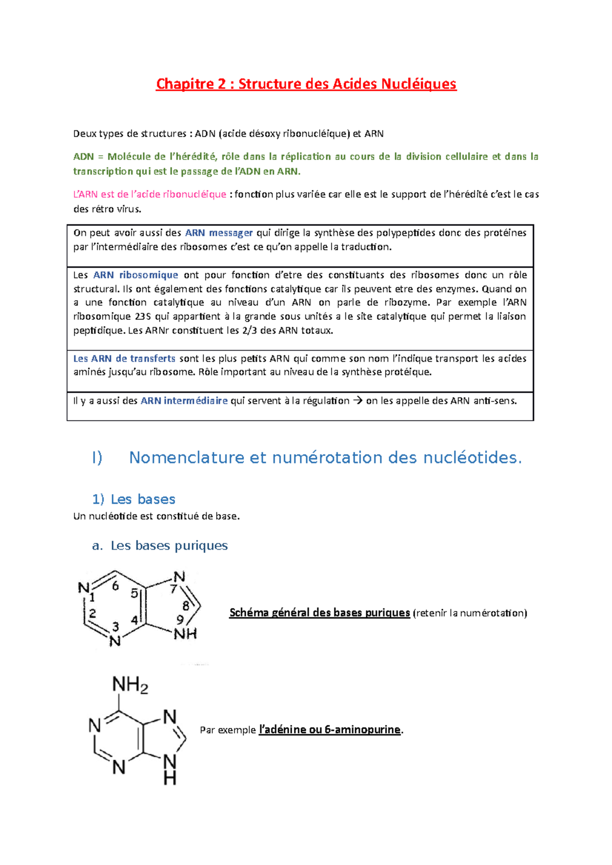 Structure Des Acides Nucléiques - Chapitre 2 : Structure Des Acides ...