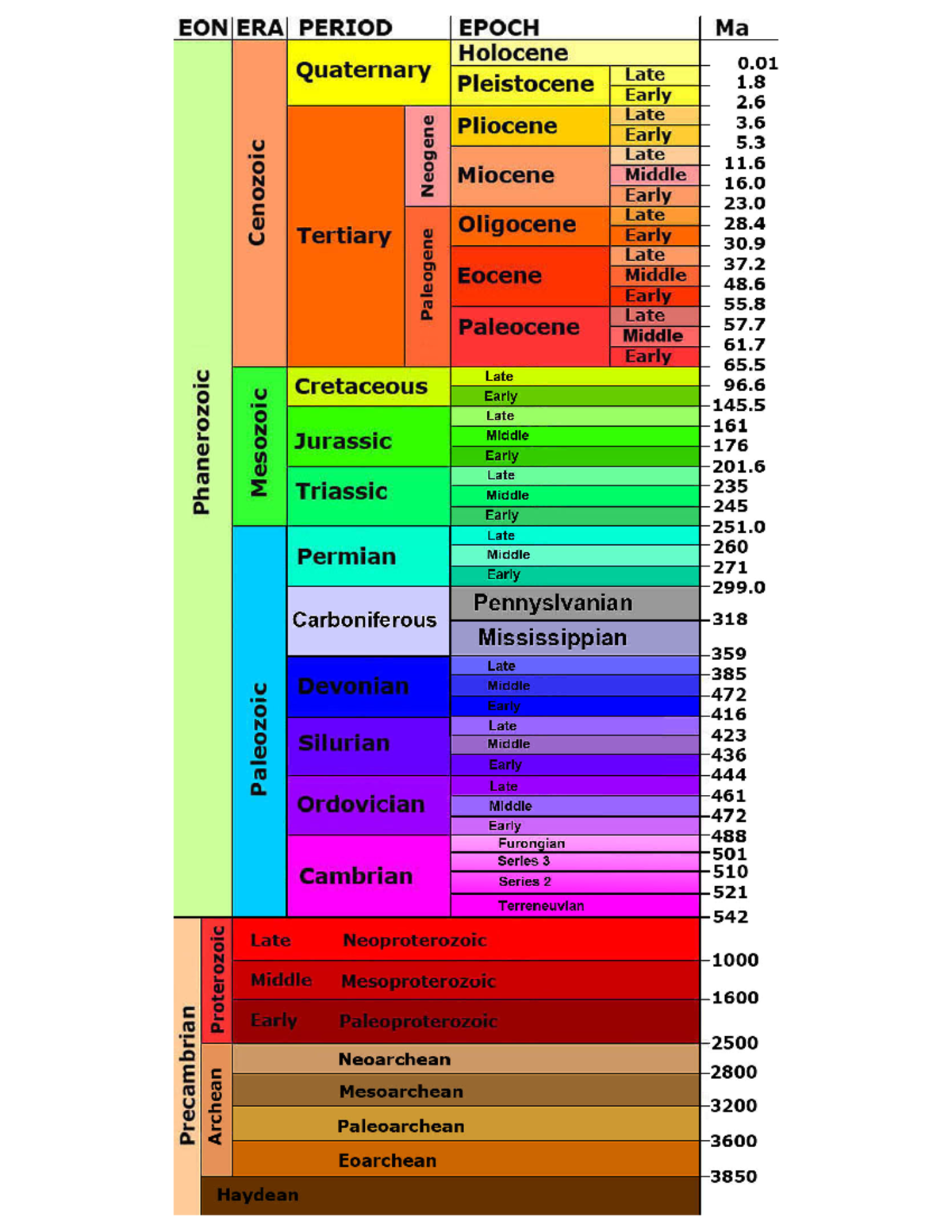 Geologic time scale - Biology - Studocu