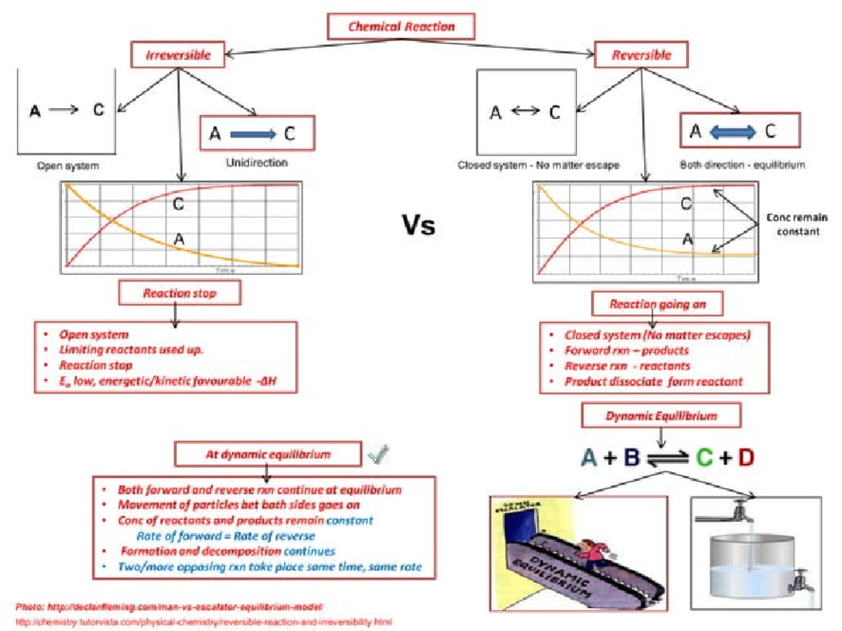 Ib chemistry on dynamic equilibrium - Studocu