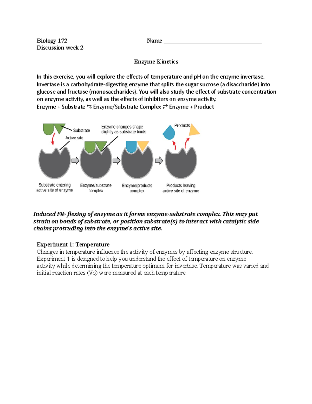 Discussion 6 Enzymes (word) Biology 172 Name