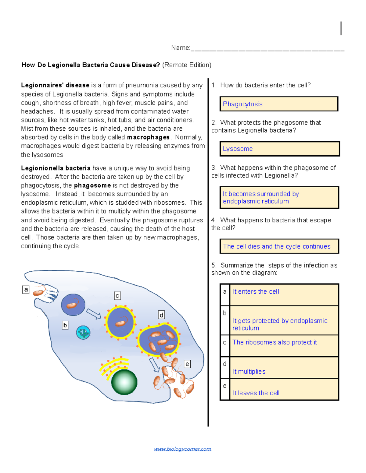 Legionairres Disease Name