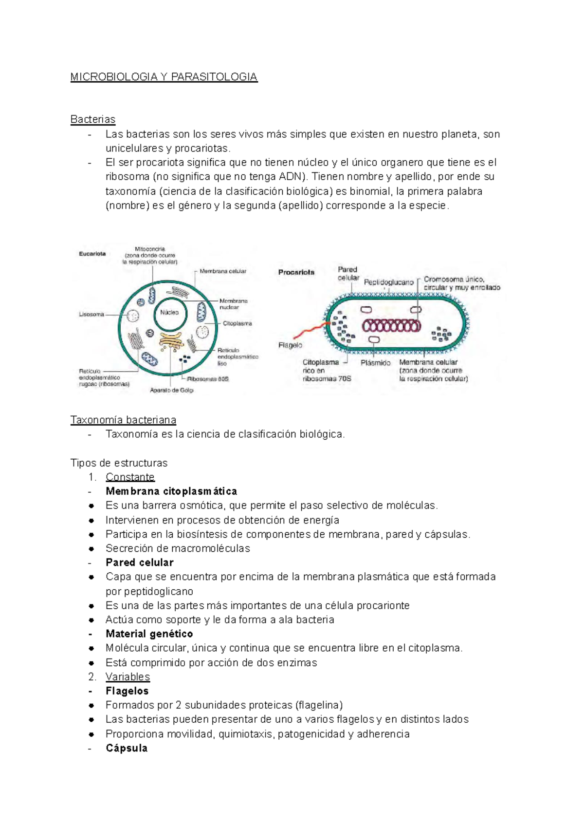 Microbiología - Prueba 1 - MICROBIOLOGIA Y PARASITOLOGIA Bacterias ...