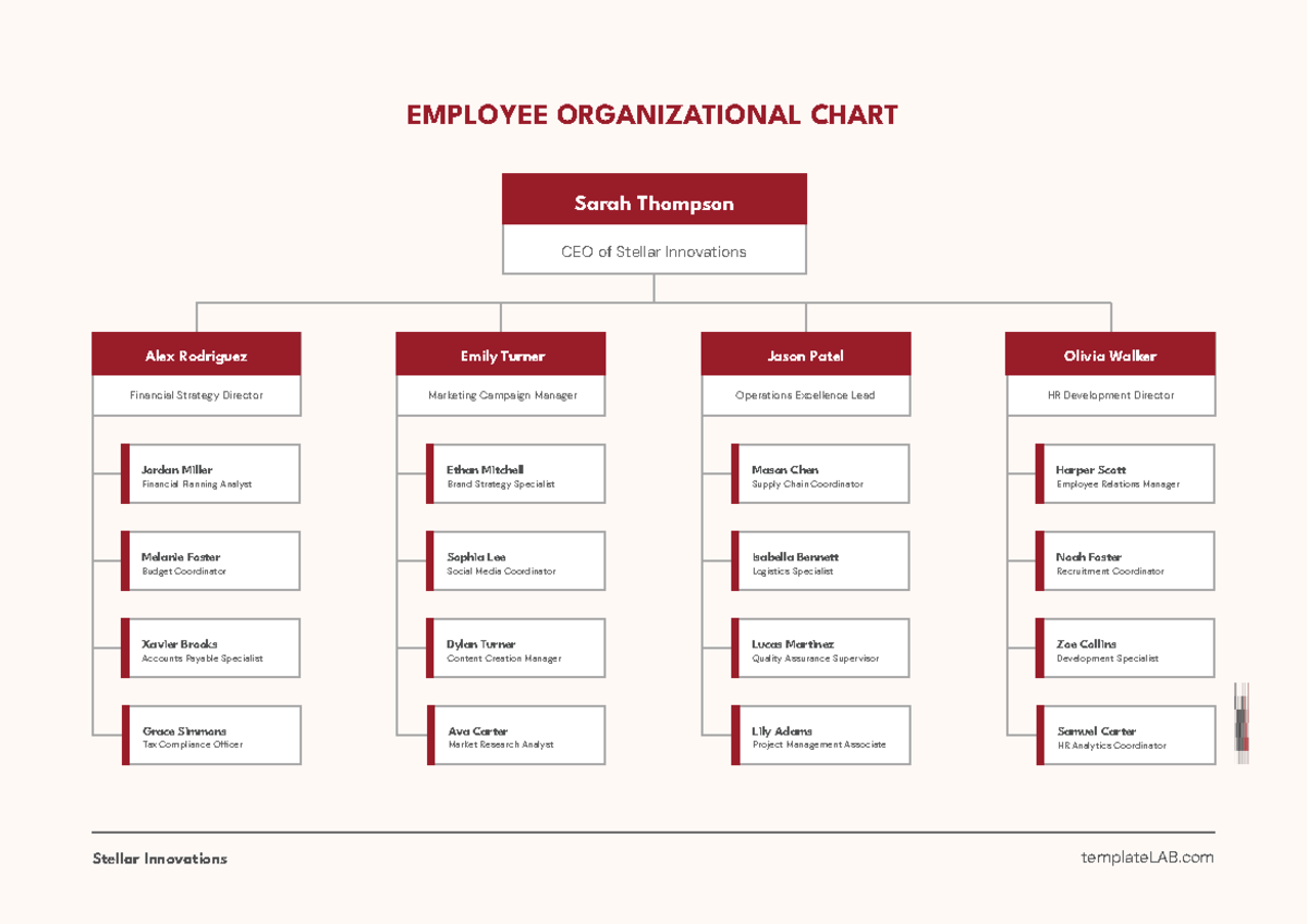 Employee-Organizational-Chart - Stellar Innovations templateLAB Sarah ...