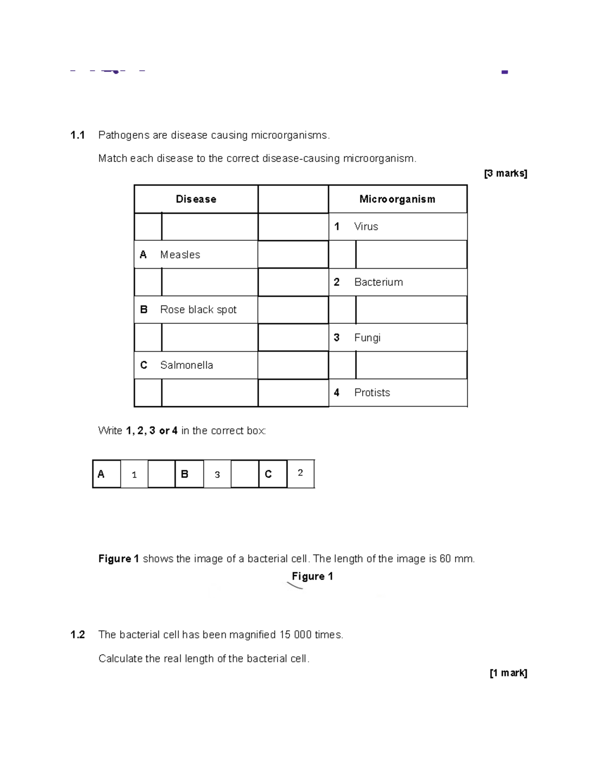 Maysa d - idk - 1 Pathogens are disease causing microorganisms. Match ...