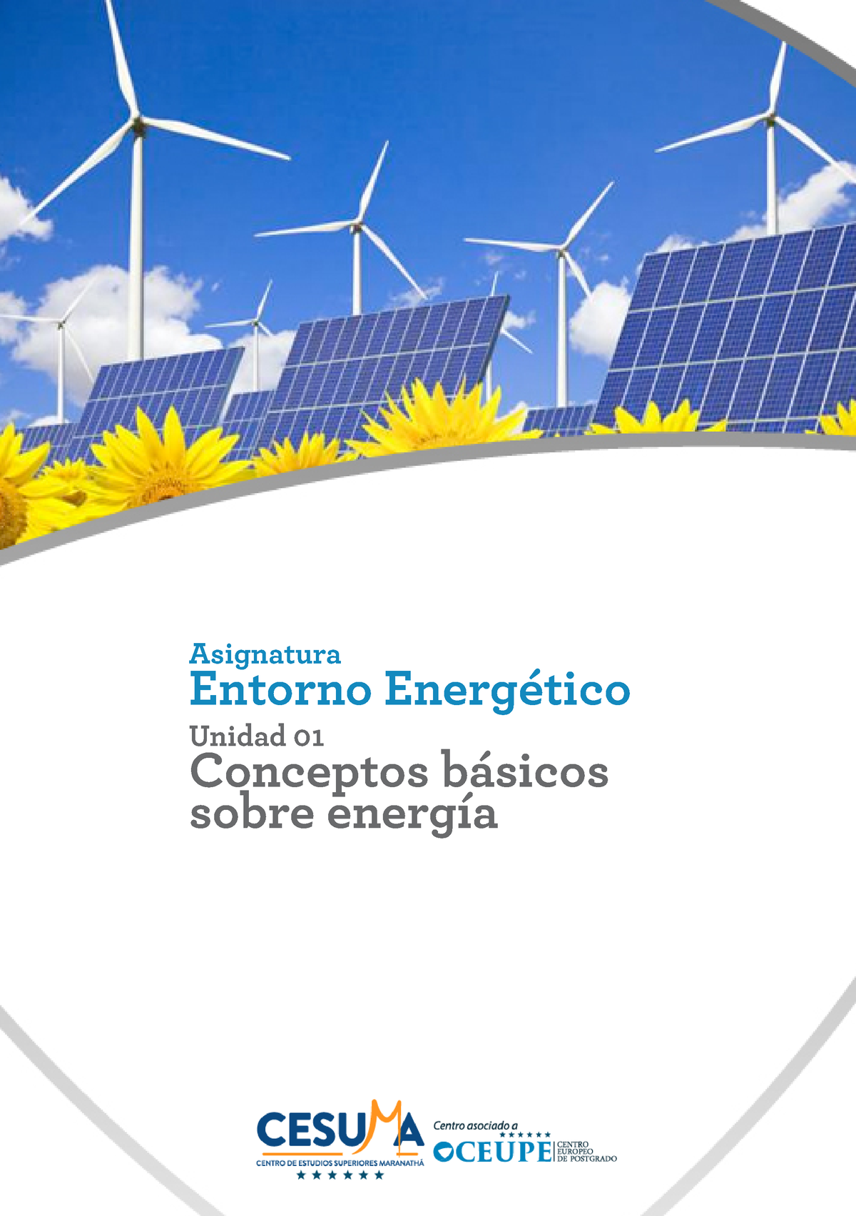 C1 Asig1 Unid1 Conceptos Básicos De La Energía - Asignatura Entorno ...