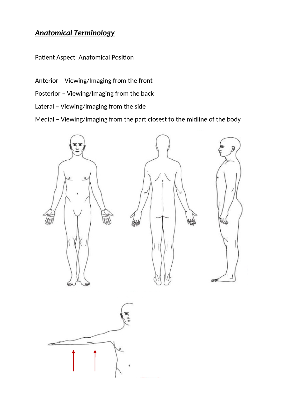 2.4 Anatomic Terms - Print Out - Anatomical Terminology Patient Aspect ...