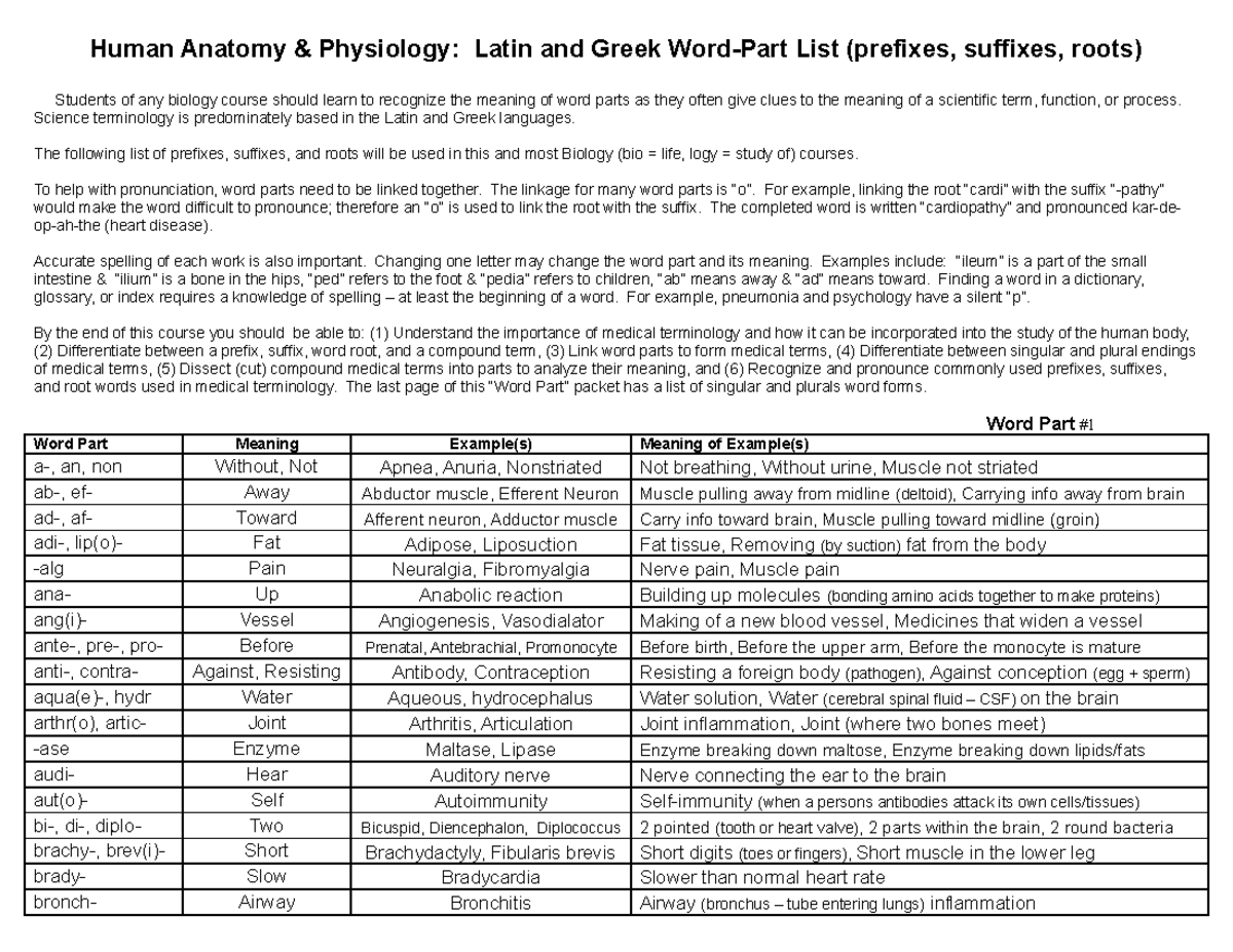 Word Part List First Human Anatomy Physiology Latin and