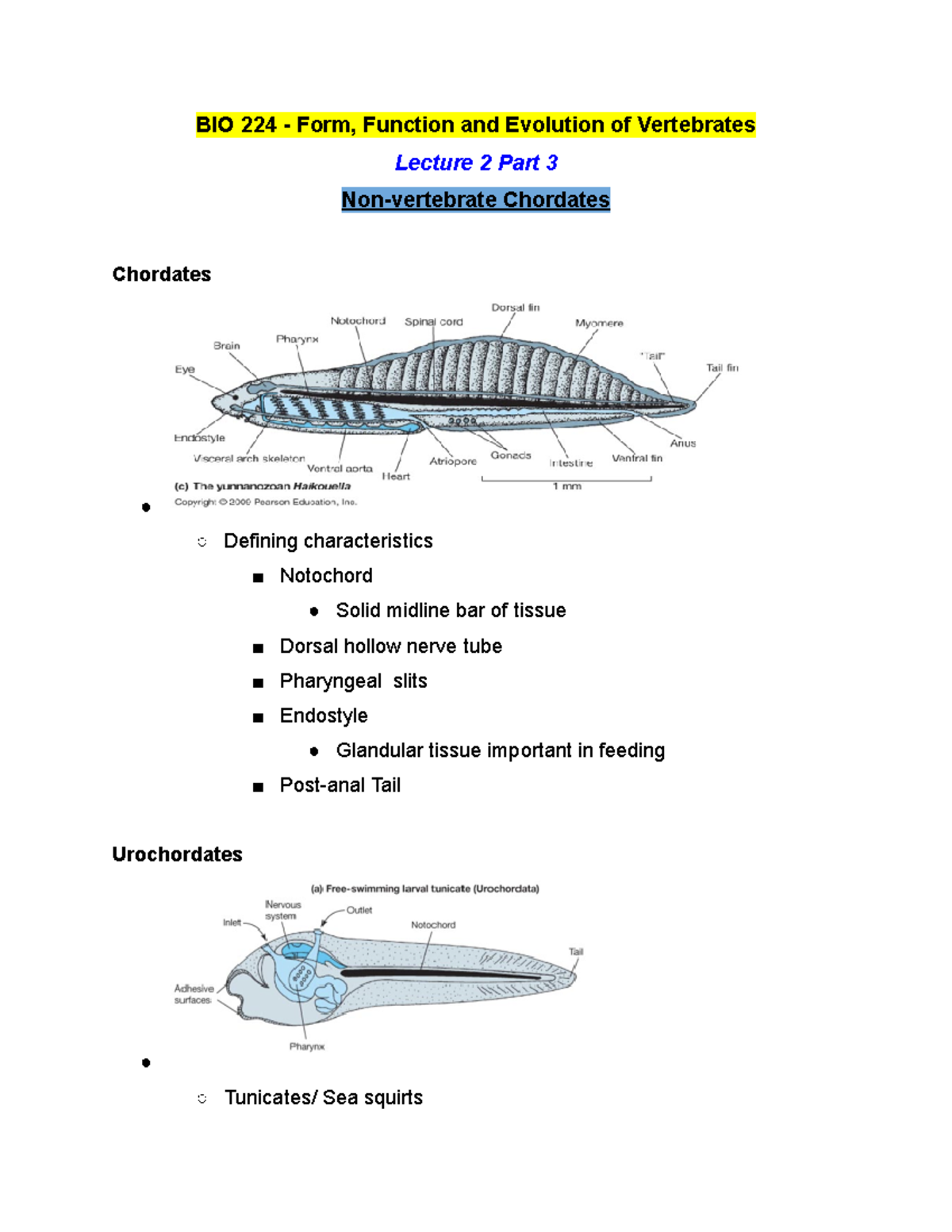 BIO 224 Lecture 2 Part 3 - Winter 2019 - BIO 224 - Form, Function and ...