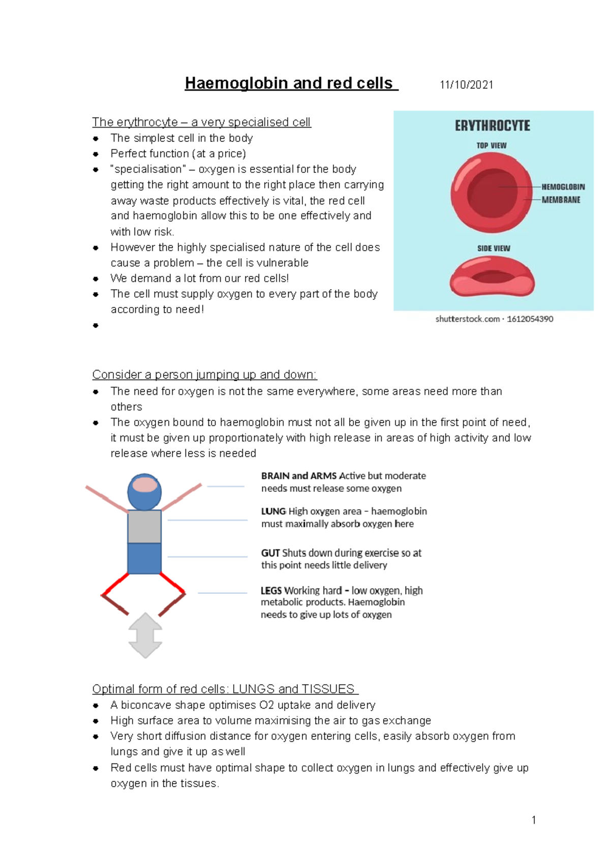 Haematology Module Week Haemoglobin And Red Cells The