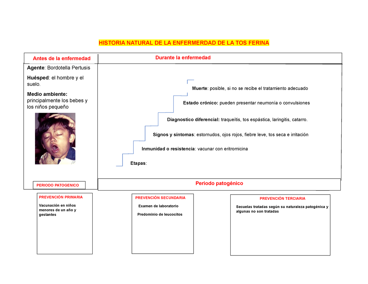 Historia Natural De La Enfermerdad De La Tos Ferina Historia Natural De La Enfermerdad De La
