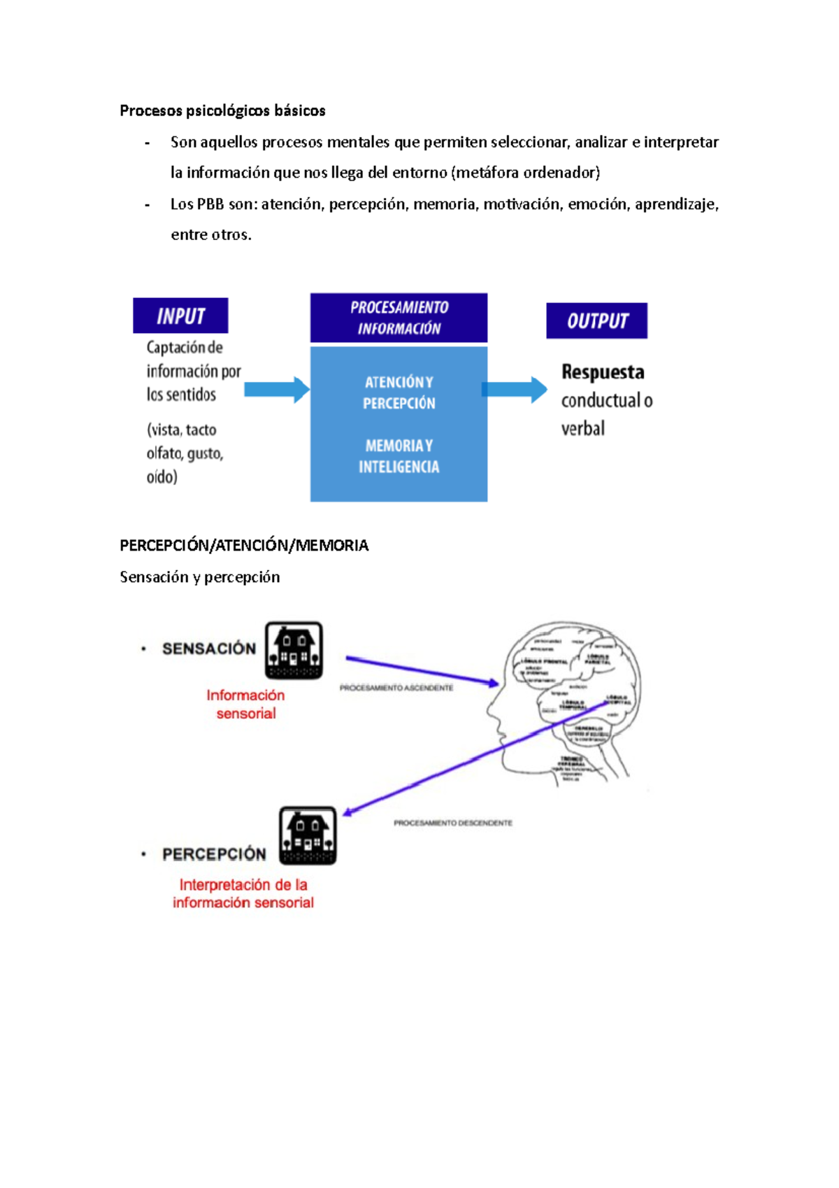 Procesos Psicológicos Básicos - Procesos Psicológicos Básicos - Son ...