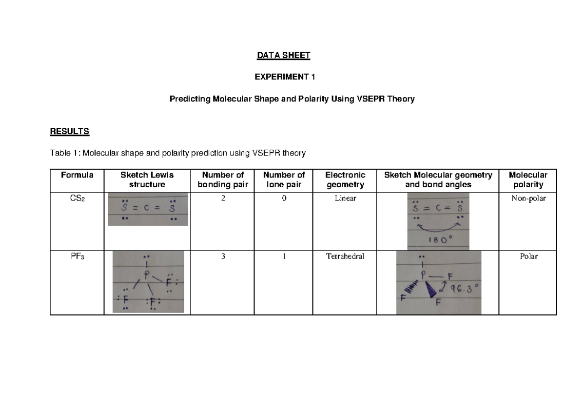 polarity experiment activity sheet