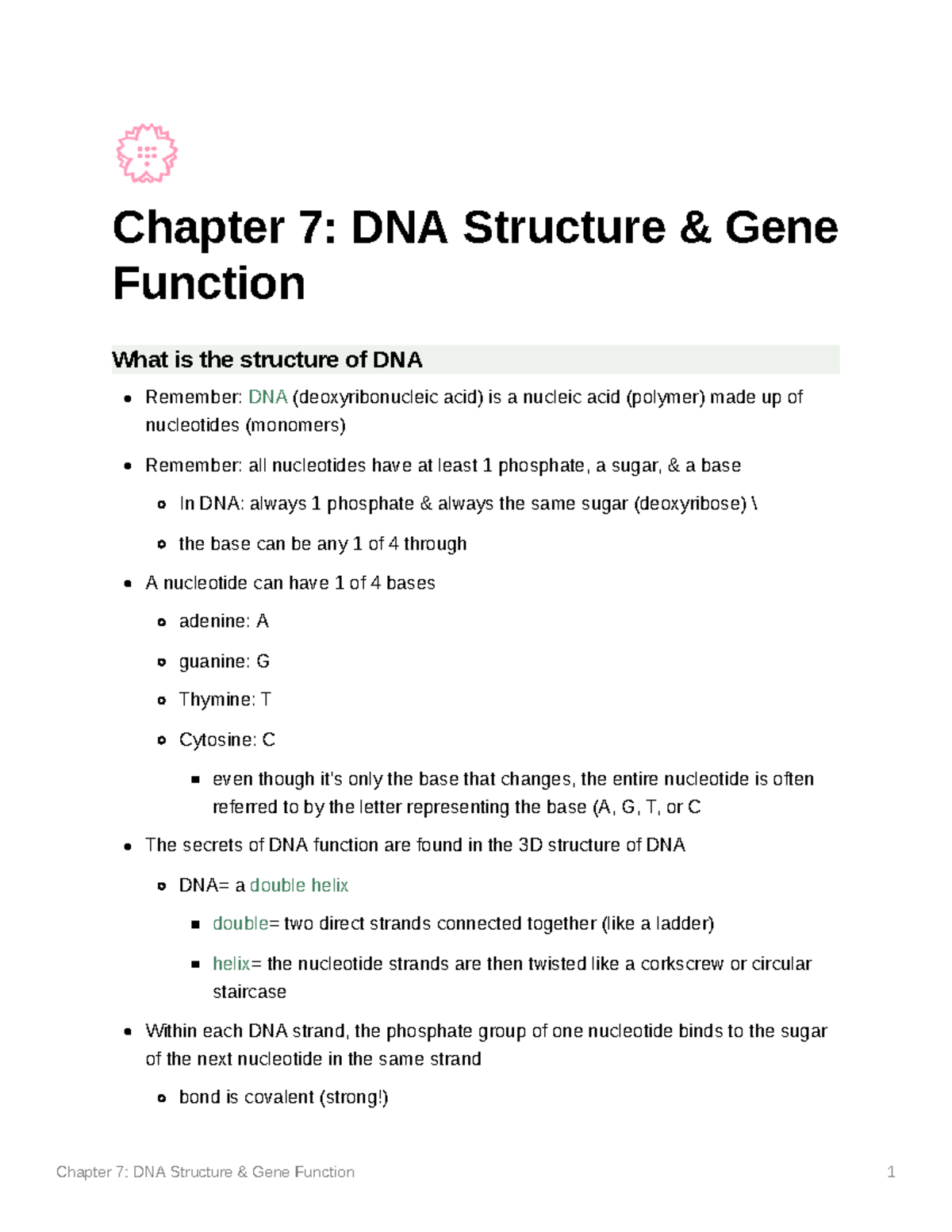 Chapter 7 DNA Structure Gene Function - Chapter 7: DNA Structure & Gene ...