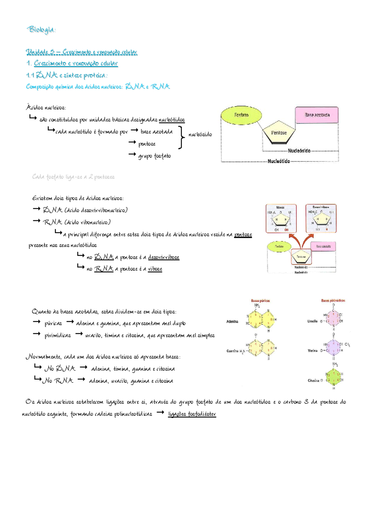 2anobiologia - Resumo - B B I I O O L L O O G G I I A A : : U U N N I I ...