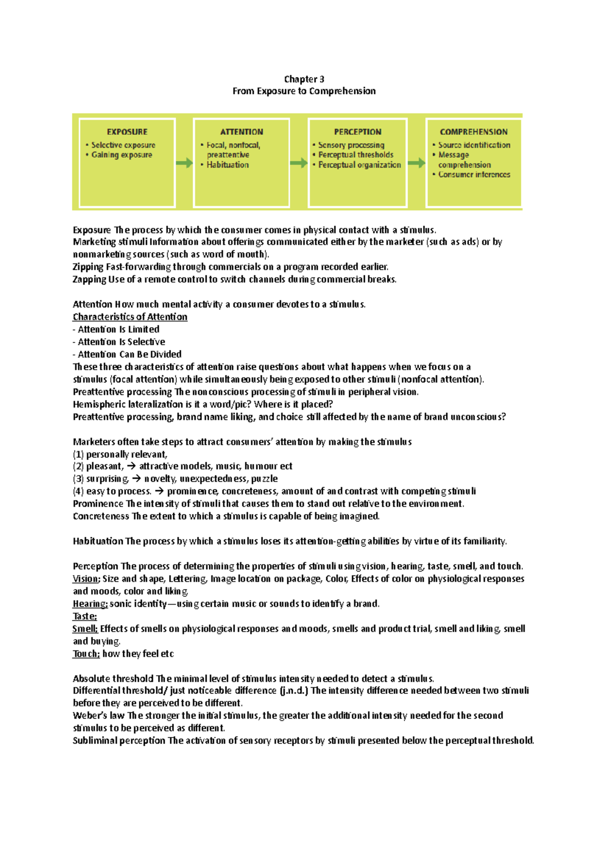 Chapter 3 From Exposure To Comprehension - Chapter 3 From Exposure To ...